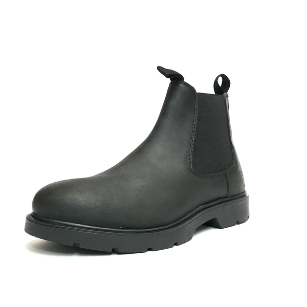 https://i.ebayimg.com/00/s/MTYwMFgxNjAw/z/poMAAeSwxw1q00sP/$_57.PNG?set_id=880000500F