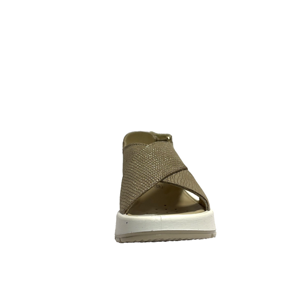 https://i.ebayimg.com/00/s/MTYwMFgxNjAw/z/zs8AAeSwAZNpuvd7/$_57.PNG?set_id=880000500F