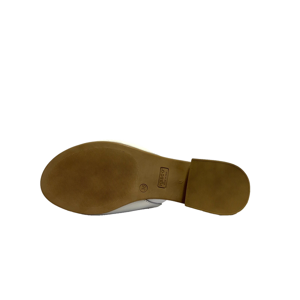 https://i.ebayimg.com/00/s/MTYwMFgxNjAw/z/61sAAeSwQvppuuy5/$_57.PNG?set_id=880000500F