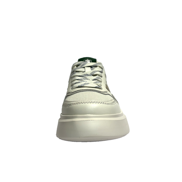 https://i.ebayimg.com/00/s/MTYwMFgxNjAw/z/oxgAAeSwCTFpuEuu/$_57.PNG?set_id=880000500F