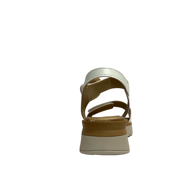 https://i.ebayimg.com/00/s/MTYwMFgxNjAw/z/fMwAAeSw-YFpz~5p/$_57.PNG?set_id=880000500F