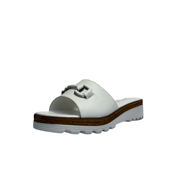 https://i.ebayimg.com/00/s/MTYwMFgxNjAw/z/3aIAAeSwi5Zp0VIm/$_57.PNG?set_id=880000500F