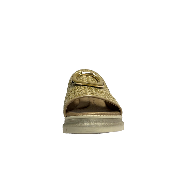 https://i.ebayimg.com/00/s/MTYwMFgxNjAw/z/4GgAAeSwTR5p0VNy/$_57.PNG?set_id=880000500F