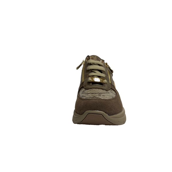 https://i.ebayimg.com/00/s/MTYwMFgxNjAw/z/MWEAAeSwYllqqtxA/$_57.PNG?set_id=880000500F