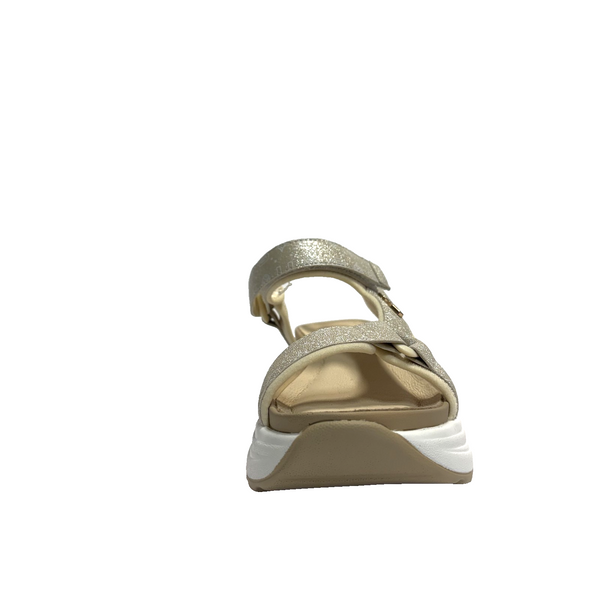 https://i.ebayimg.com/00/s/MTYwMFgxNjAw/z/OQcAAeSw44Jp9kDy/$_57.PNG?set_id=880000500F
