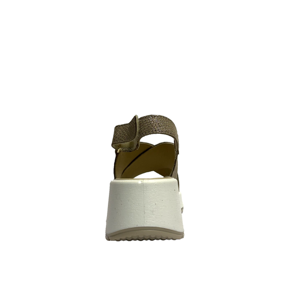 https://i.ebayimg.com/00/s/MTYwMFgxNjAw/z/NBEAAeSwd0BpuveZ/$_57.PNG?set_id=880000500F