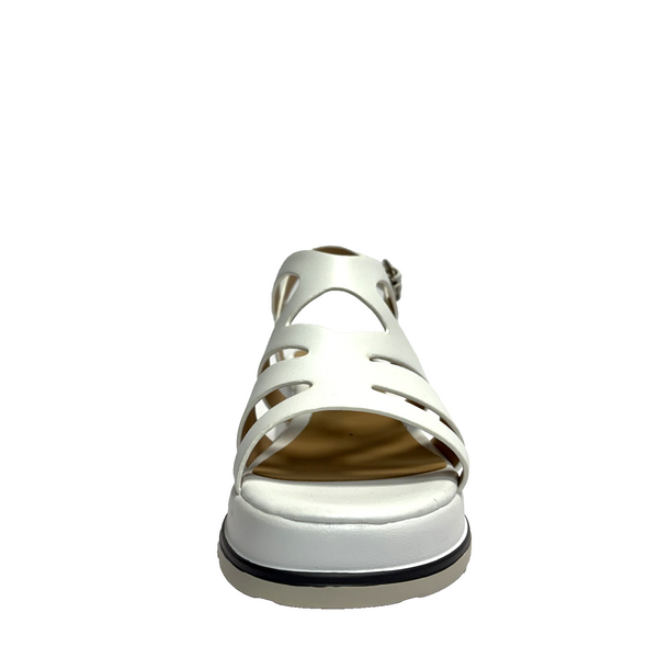 https://i.ebayimg.com/00/s/MTYwMFgxNjAw/z/Km8AAeSwLUpp6PYu/$_57.PNG?set_id=880000500F