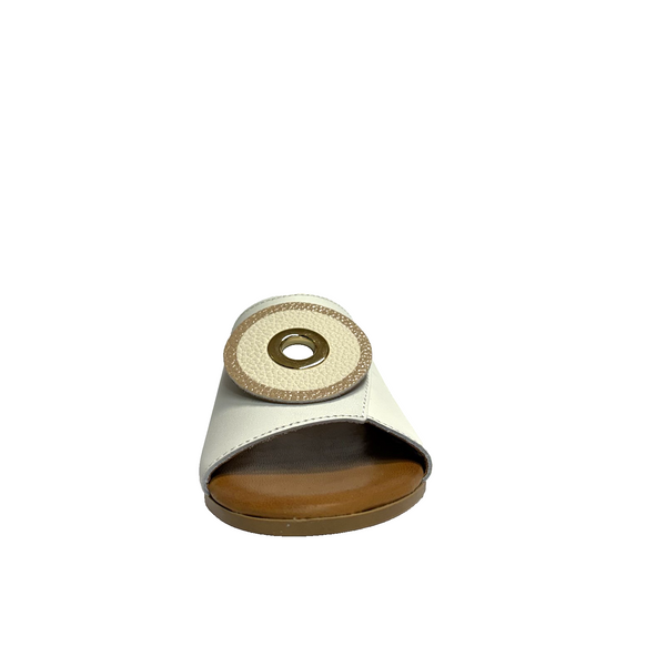 https://i.ebayimg.com/00/s/MTYwMFgxNjAw/z/lYQAAeSwZQRpuumY/$_57.PNG?set_id=880000500F
