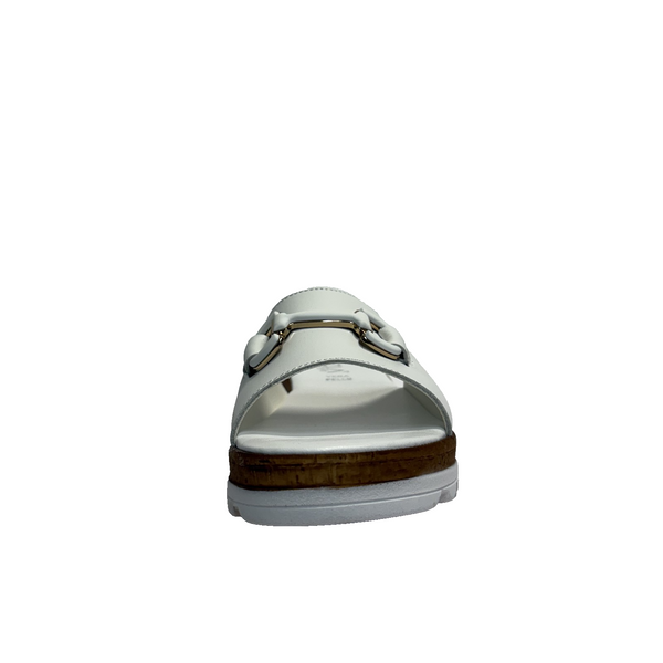 https://i.ebayimg.com/00/s/MTYwMFgxNjAw/z/2ygAAeSwf7Jp0VIt/$_57.PNG?set_id=880000500F