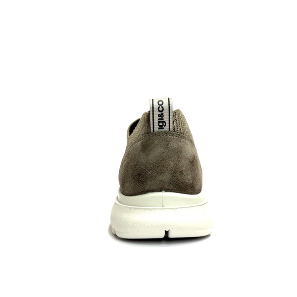 https://i.ebayimg.com/00/s/MTYwMFgxNjAw/z/teEAAeSwN2tpnKlF/$_57.PNG?set_id=880000500F