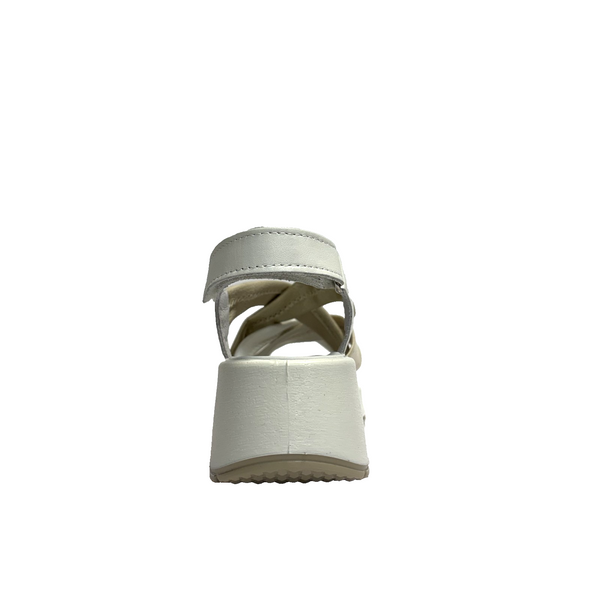 https://i.ebayimg.com/00/s/MTYwMFgxNjAw/z/E1EAAeSw6lxpuvZn/$_57.PNG?set_id=880000500F