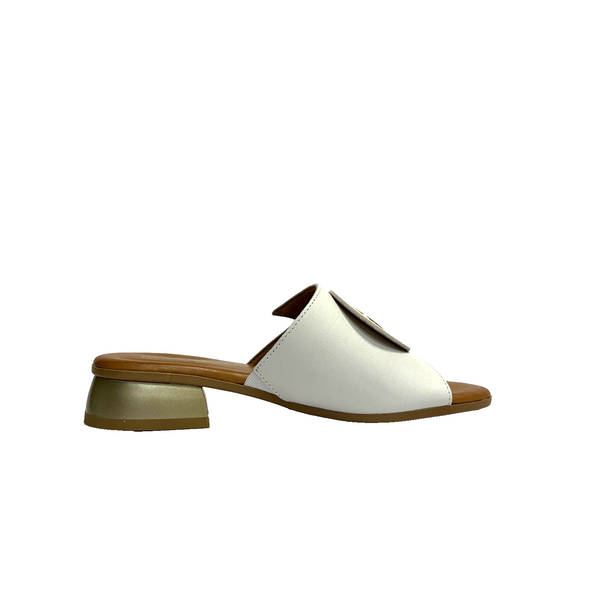 https://i.ebayimg.com/00/s/MTYwMFgxNjAw/z/gQAAAeSwG-xpuuyi/$_57.PNG?set_id=880000500F