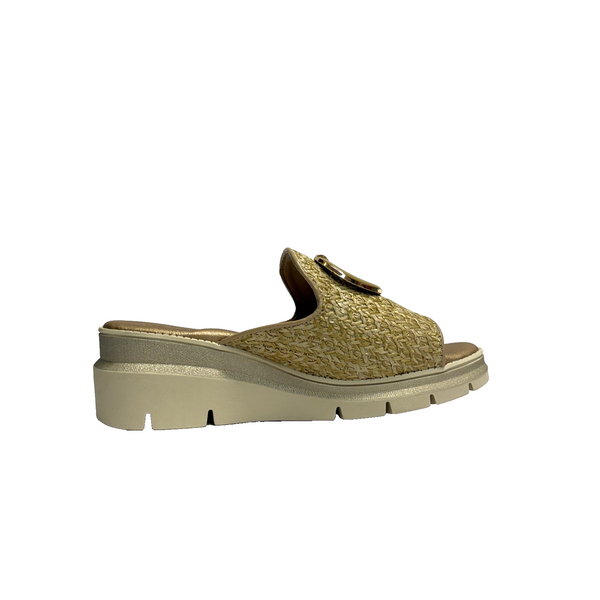 https://i.ebayimg.com/00/s/MTYwMFgxNjAw/z/694AAeSwgERp0VN7/$_57.PNG?set_id=880000500F