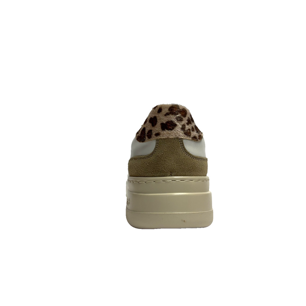 https://i.ebayimg.com/00/s/MTYwMFgxNjAw/z/~s4AAeSw4lxqrWlV/$_57.PNG?set_id=880000500F