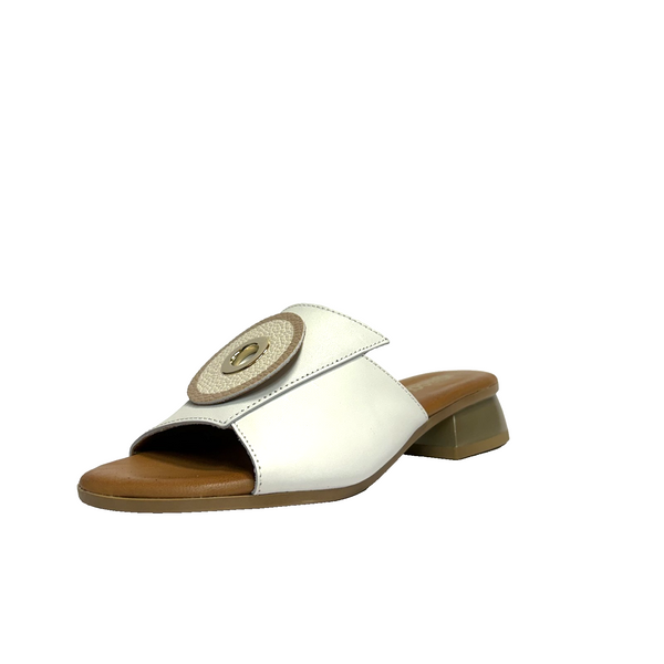 https://i.ebayimg.com/00/s/MTYwMFgxNjAw/z/WaEAAeSwk6RpuulL/$_57.PNG?set_id=880000500F