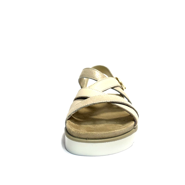 https://i.ebayimg.com/00/s/MTYwMFgxNjAw/z/P9EAAeSwdJBp5588/$_57.PNG?set_id=880000500F