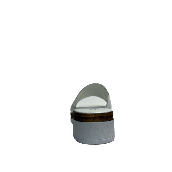 https://i.ebayimg.com/00/s/MTYwMFgxNjAw/z/ok8AAeSwzMVp0VI7/$_57.PNG?set_id=880000500F
