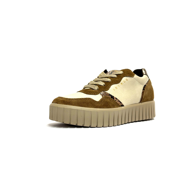 https://i.ebayimg.com/00/s/MTYwMFgxNjAw/z/iZYAAeSww5RqzlUU/$_57.PNG?set_id=880000500F